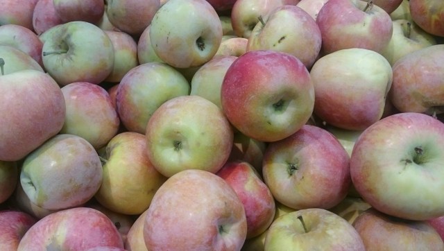 Extreme weather events have led to an unexpected phenomenon in Korea, wiping out apple crop yields.