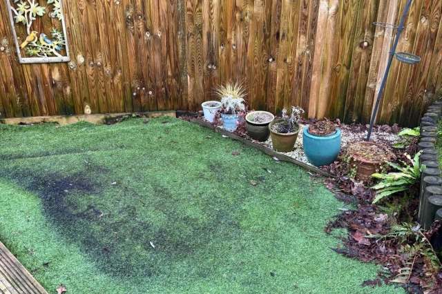 "The garden looks great now."