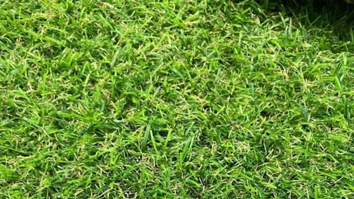One Redditor's question was if there are any beneficial reasons to use artificial turf. The responses were overwhelmingly negative.