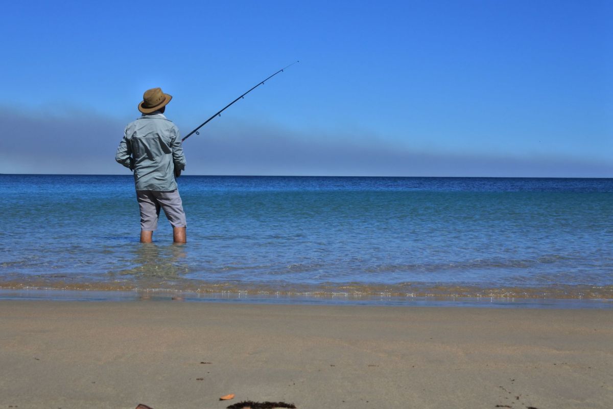 The South Australian government enacted temporary fishing bans and restrictions in response to a major algal bloom outbreak.