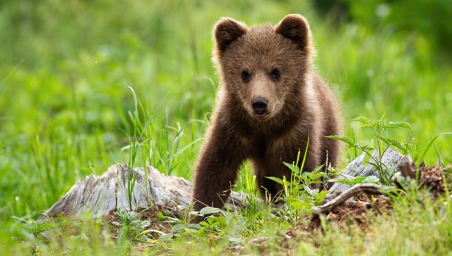 The Instagram community was deeply annoyed.