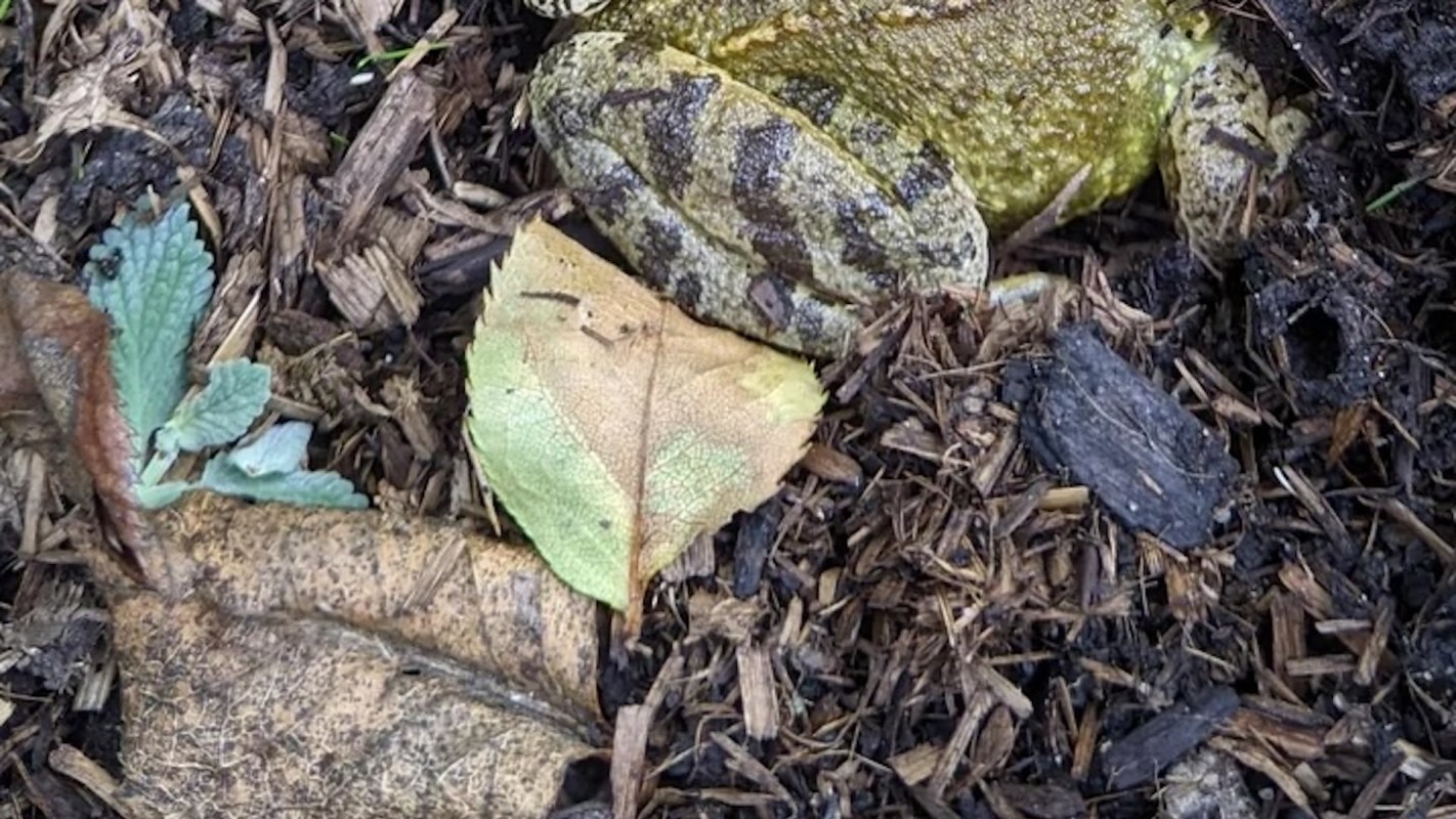 "You've inspired me."