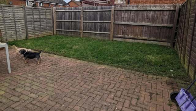 One resourceful Redditor shared the stunning results of their backyard's transformation, complete with a natural lawn and creative water features.