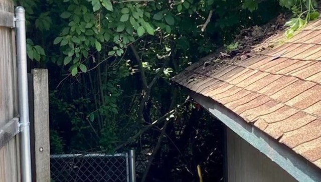 One Reddit user was shocked to find that their next-door neighbor's drain pipe was routing illegal drainage into their yard.