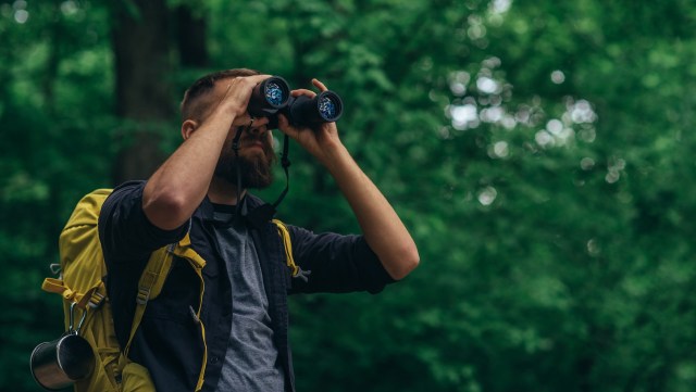 "What a cool encounter!"