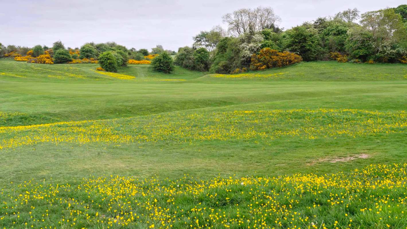 "That’s what it’s all about."