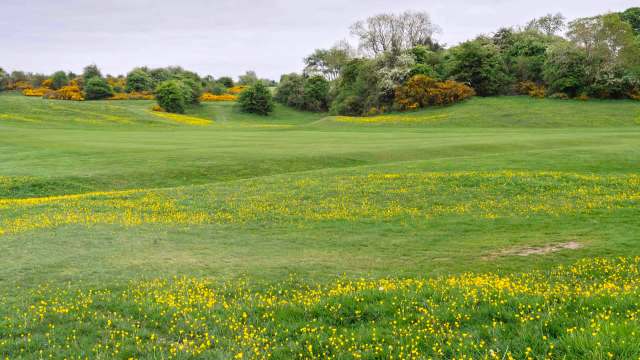 "That’s what it’s all about."