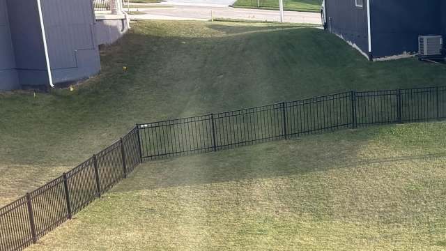 "For the love of all that is holy, plant something."