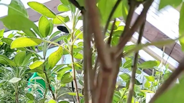 "Thanks for sharing."