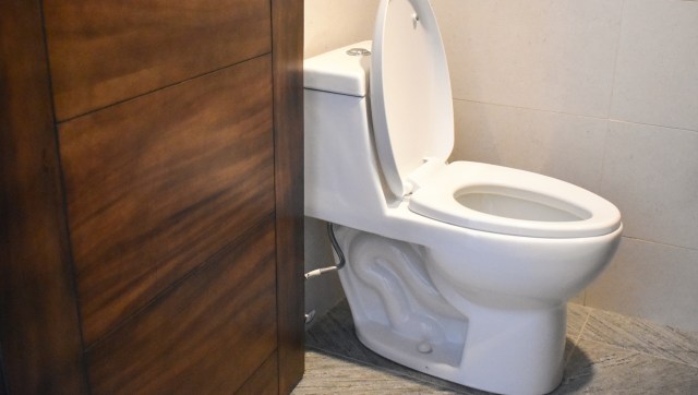 The MycoToilet is a new kind of toilet that doesn't use water, electricity, or plumbing.
