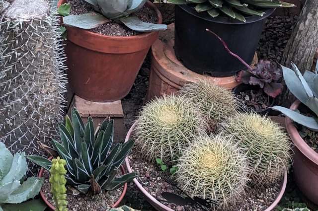 "I stared at this for 10 seconds."