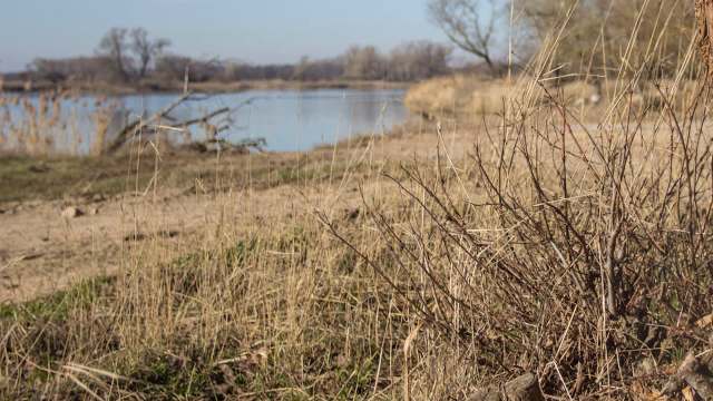 Researchers used high-resolution aerial imagery.