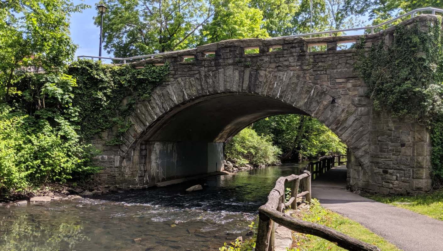 Biology graduate student and conservationist RJ Hawkins was reviewing trail camera footage from along the Bronx River when something came into view: a beaver.
