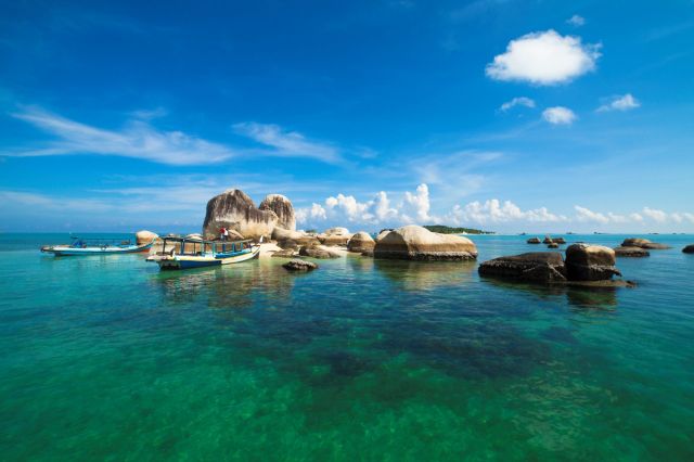 Sightings of endangered species are crucial.