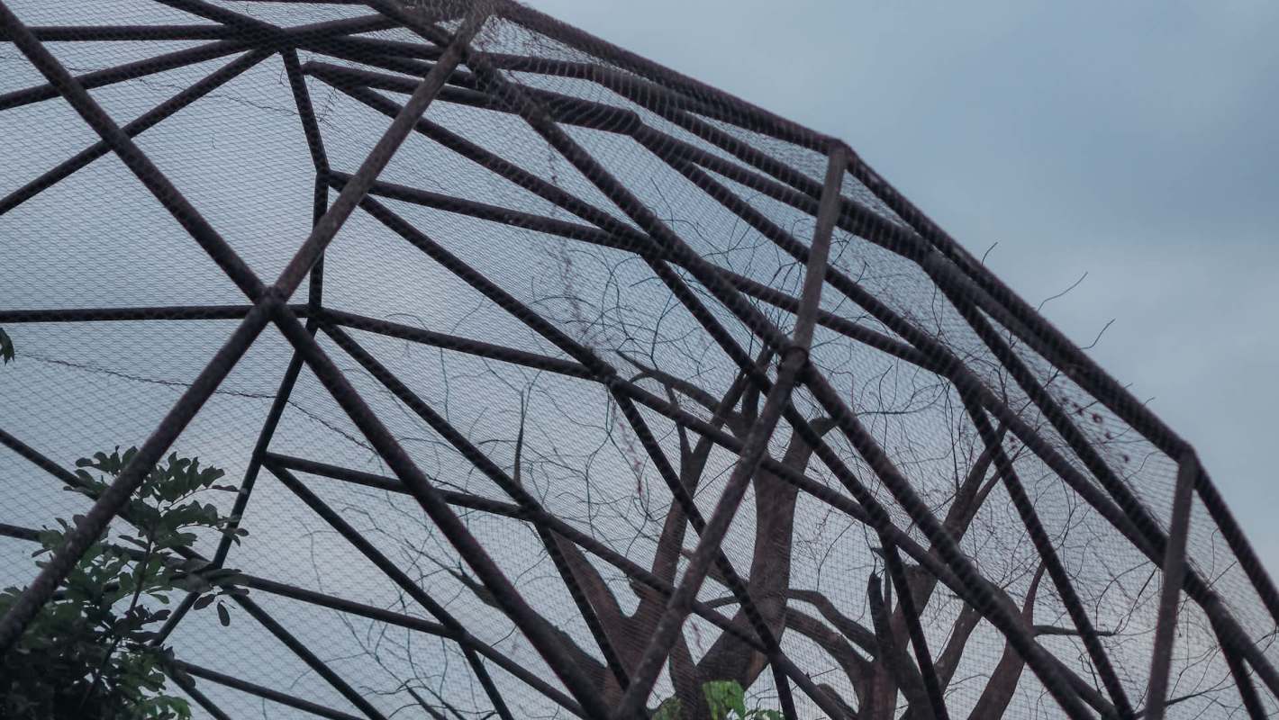 "All of them are underweight and traumatized."