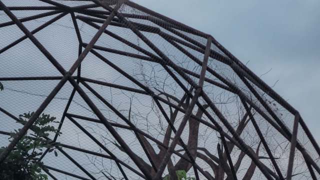 "All of them are underweight and traumatized."