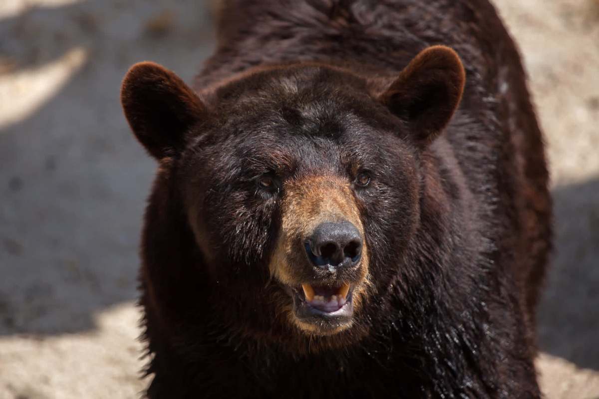 Her daughter had retreated to a bedroom closet.