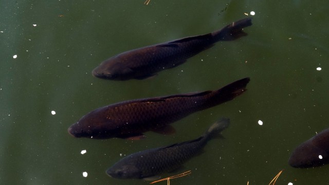 The solution is a two-pronged approach.