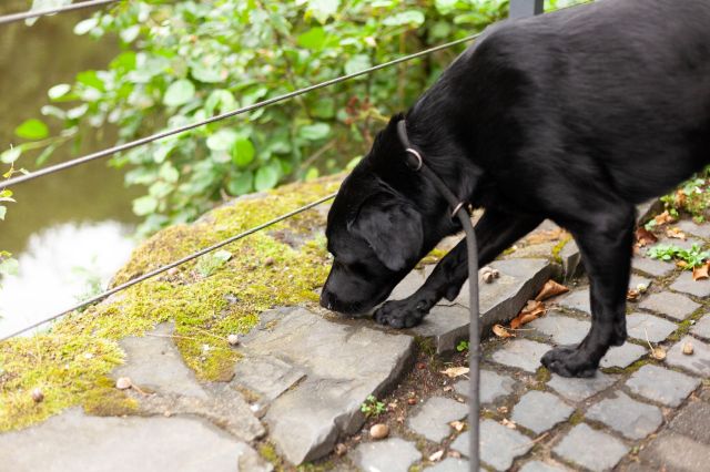 Winnie’s skills are crucial.