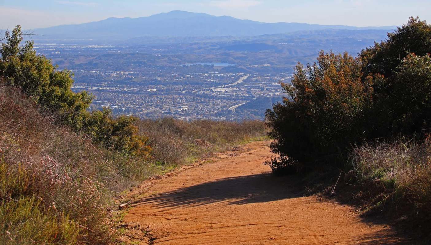 It turns out that black mustard, a common backyard weed, can actually be made into a tasty and waste-free snack.