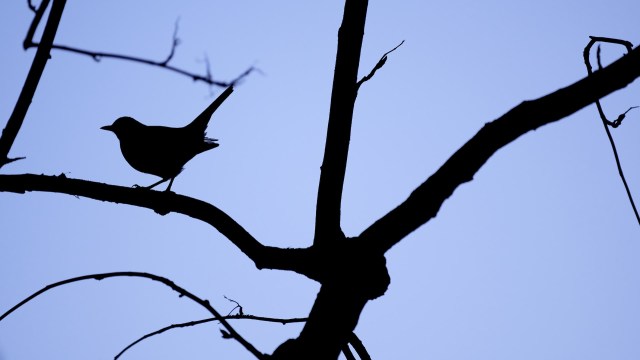 "If it had gone two houses down, probably it would have never been reported anywhere."