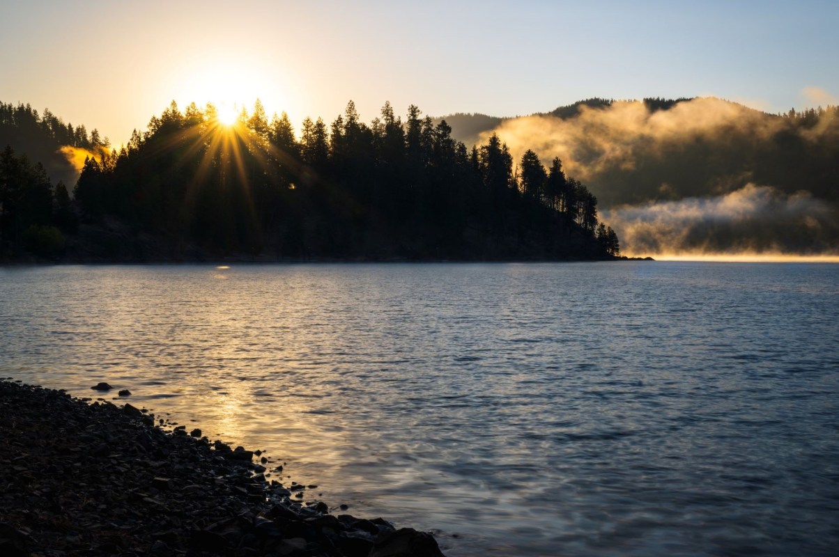 It targets humans as its primary food source.