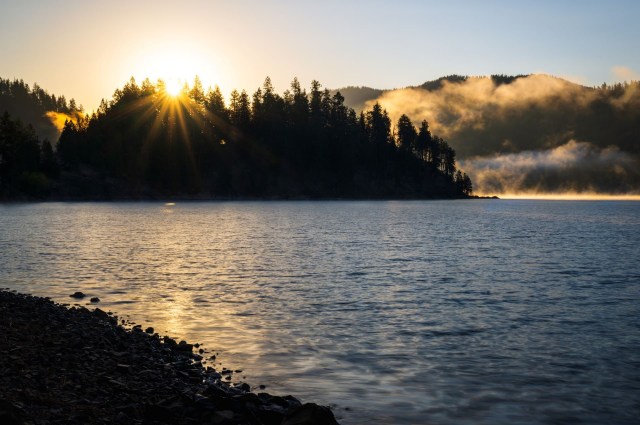 It targets humans as its primary food source.