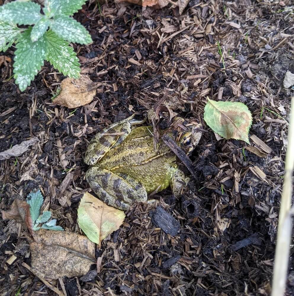 "You've inspired me."