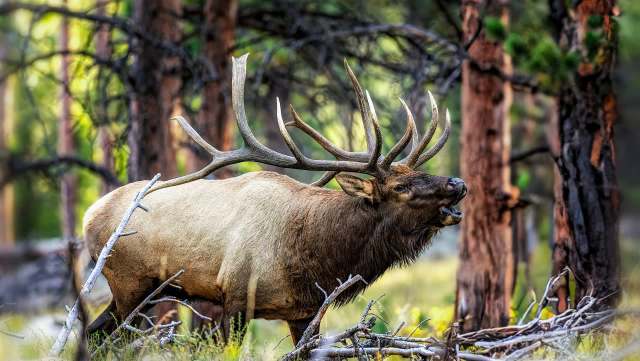 The video drew strong reactions.