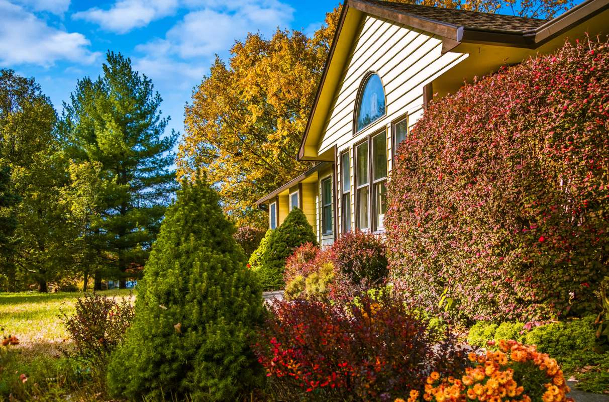 "I removed ours… so glad I did!!"