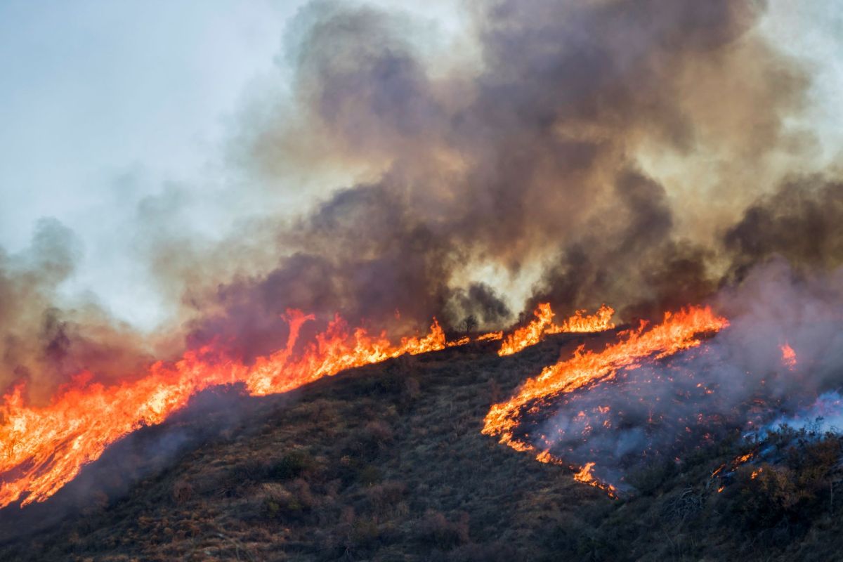 California now uses over 1,000 smart cameras to watch for wildfire smoke, often detecting blazes before anyone reports them by phone.