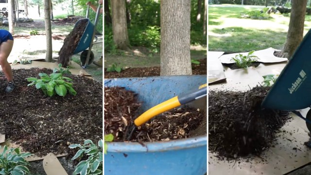 One gardener shared her hack for using a cardboard weed barrier to keep unwanted weeds at bay.