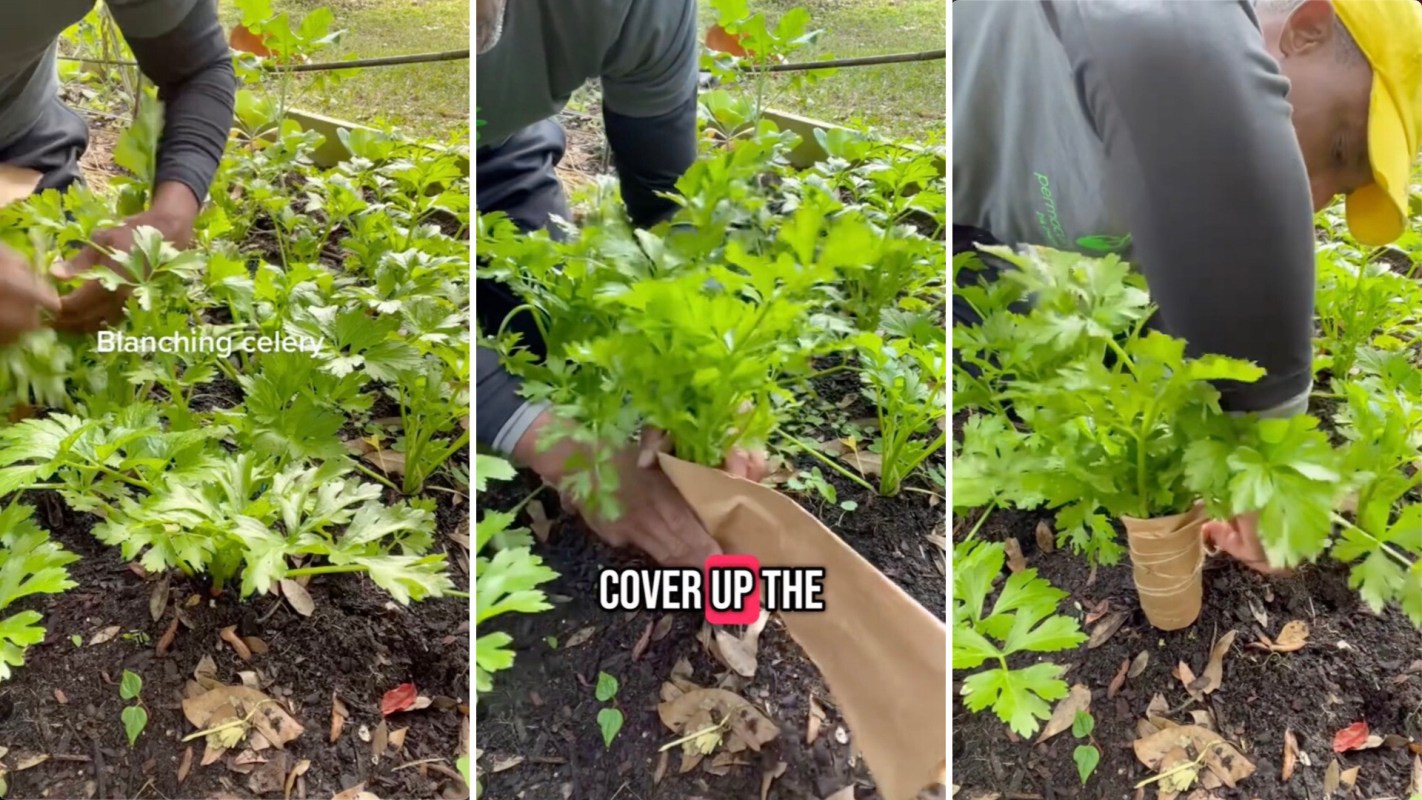 "I was wondering what I was doing wrong."