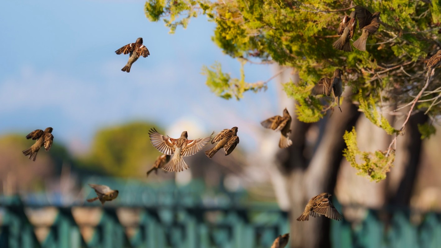 "There are challenges."