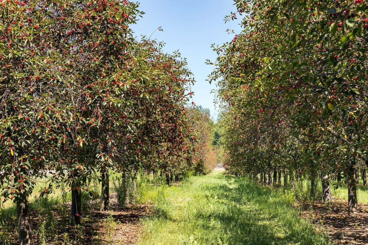 It has a broader impact on American consumers.