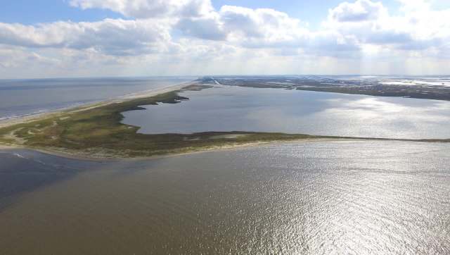 "It's going to continue to happen and continue to get worse and worse and worse."