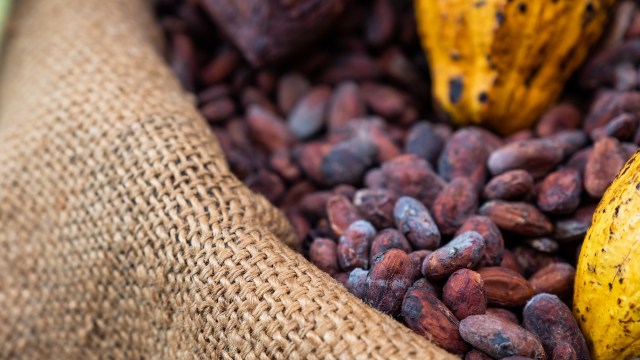 It creates a pattern that damages everyone involved.