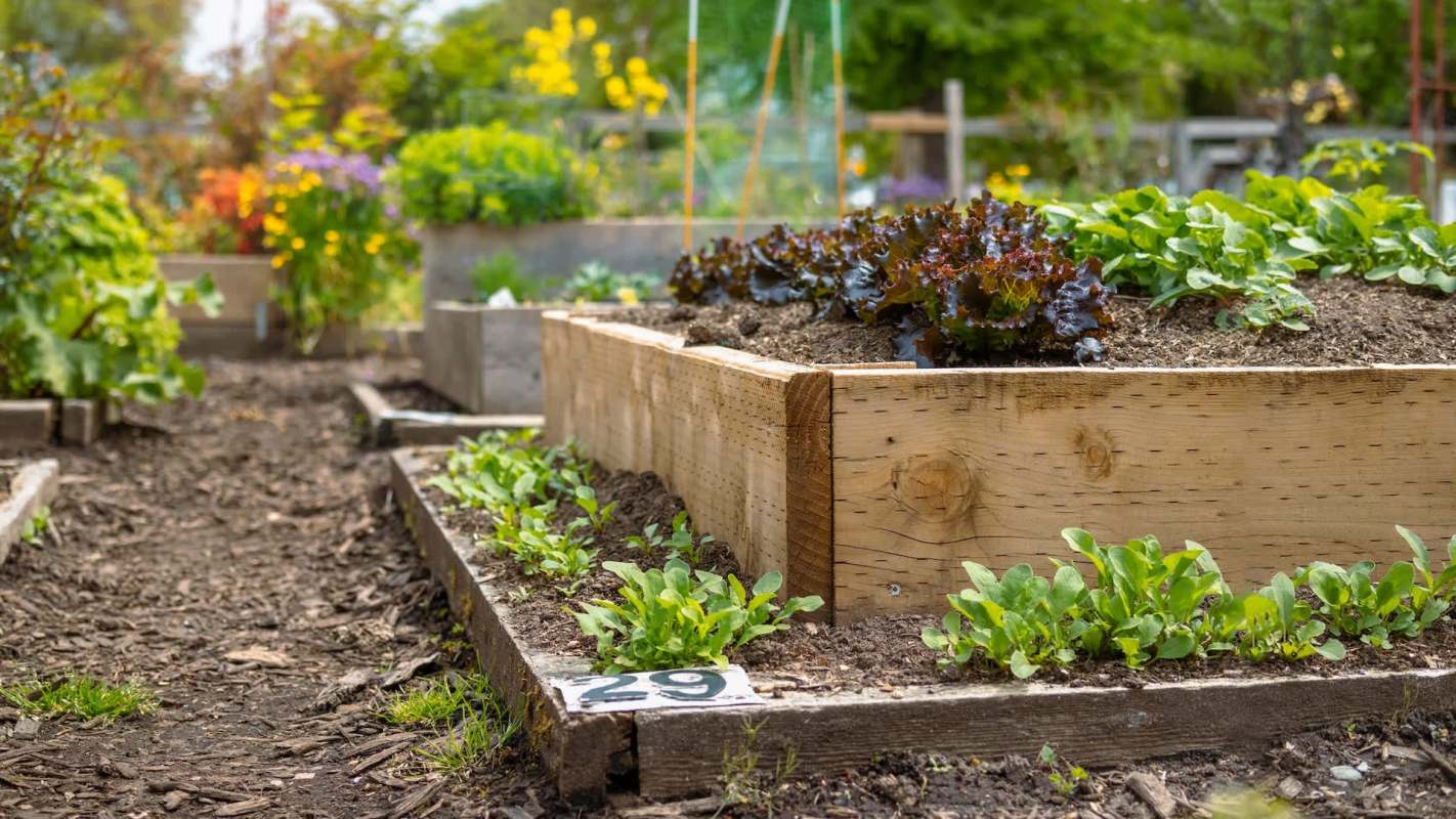 A community garden in Giles County, Virginia, is thriving thanks to the dedication of local volunteers and the enthusiasm of the youngsters.