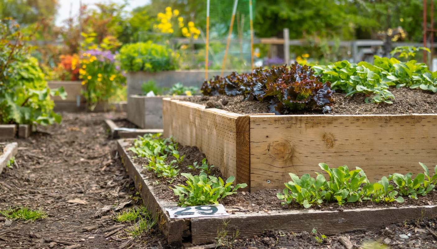 Shenandoah Community Garden, a 24-hour community garden in Page County, Virginia, is stepping in to support its local citizens.