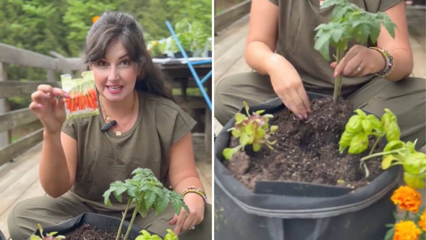 One expert gardener shared the key to growing an abundant harvest: companion planting.