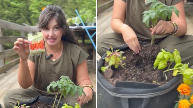 One expert gardener shared the key to growing an abundant harvest: companion planting.