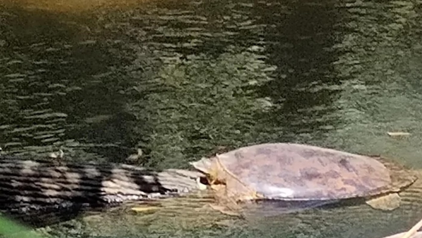 A hiker shared frustrating photos of trash in Conestee Park, South Carolina, on a local Reddit thread.