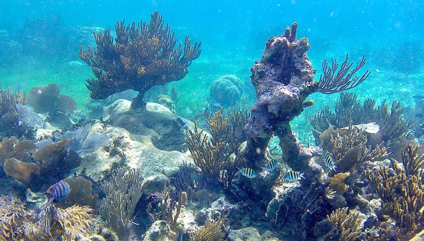 The study points to causes and possible impacts.