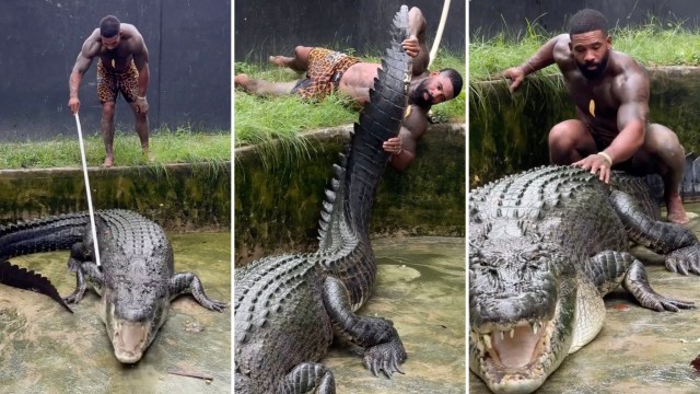 "This isn't a Steve Irwin issue."