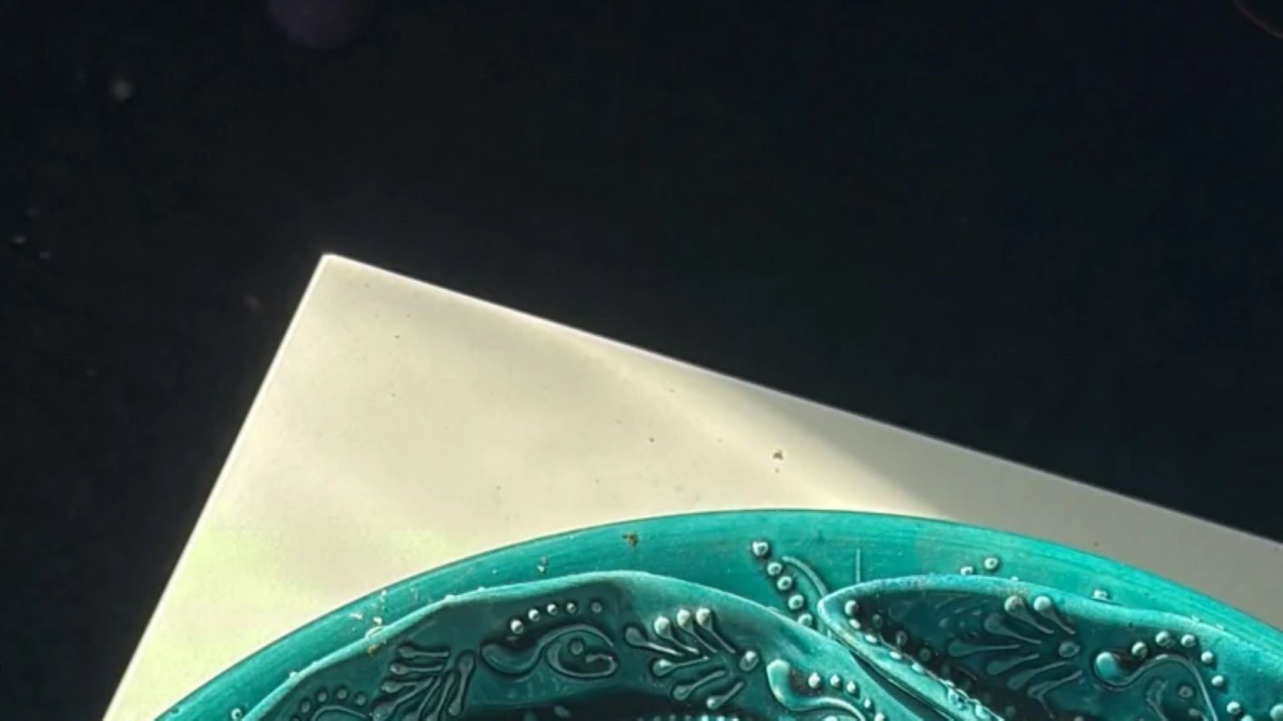 "It was probably pretty pricey retail."