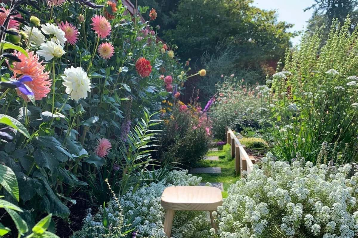 One Redditor shared an adorable series of photos from their dahlia garden, with several little green frogs nestled among the petals.