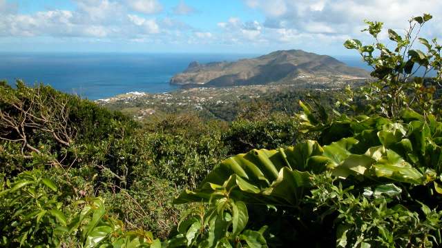 The researchers were unsure about the impact it would have.