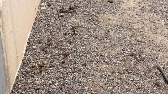 "I'd move. That's gross."