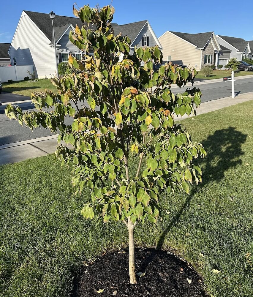 The problem wasn't difficult to identify.