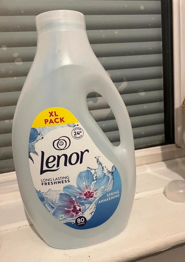 One Reddit user showed off their surprising transformation of an old plastic laundry detergent container into a chic vase.